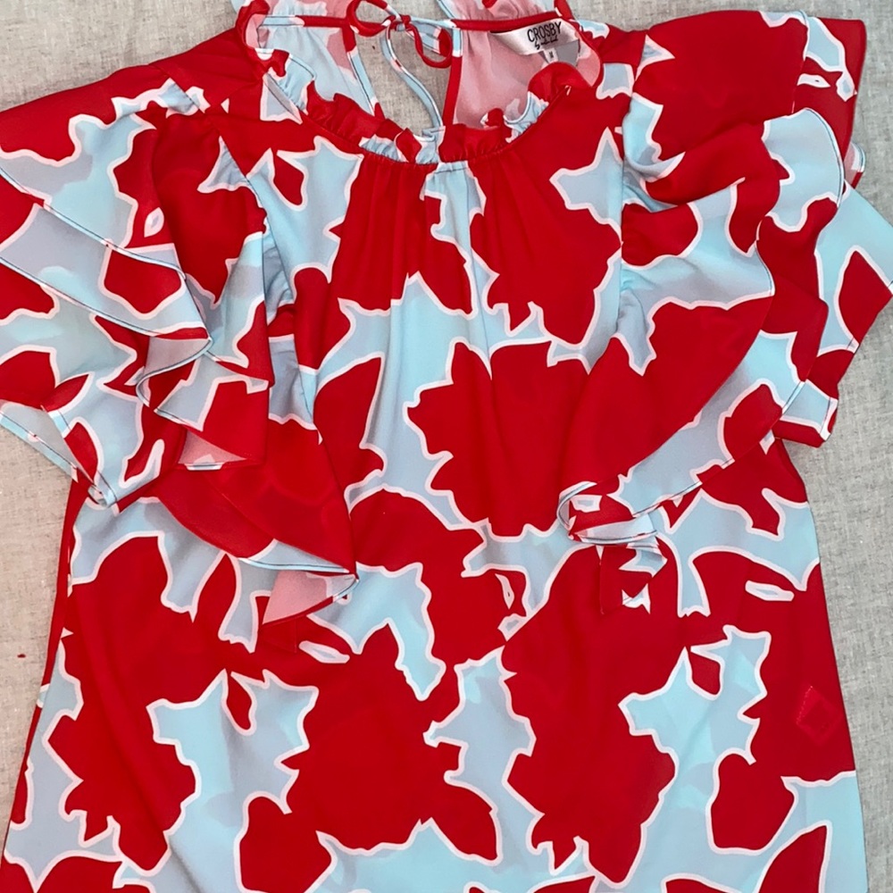 EUC—Crosby by Mollie Burch top in a size M